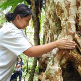 112/08/19、8/20 masa'opo helaw原鄉部落體驗-苗栗南庄 活動照片 6
