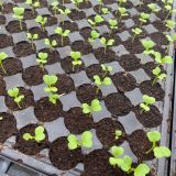 112/09/09、9/10 masa'opo helaw原鄉部落體驗-新竹尖石 活動照片 37